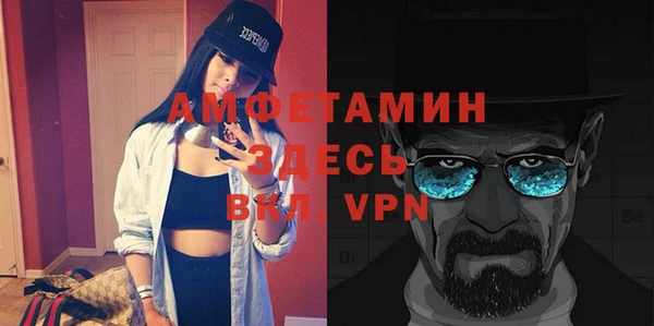 молекула духа Каменка