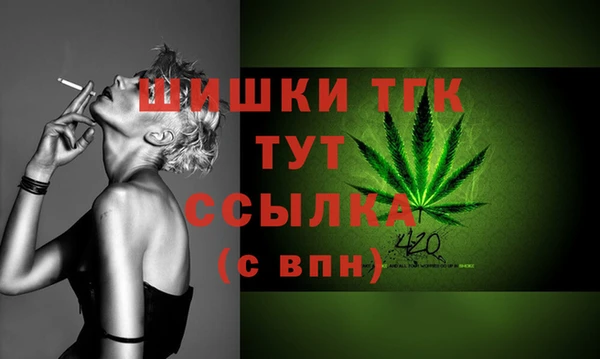 хмурый Карпинск