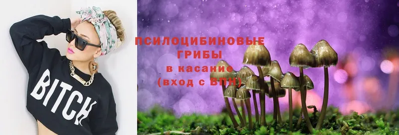 Галлюциногенные грибы Cubensis  как найти   Северск 