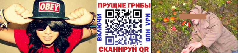 Псилоцибиновые грибы Psilocybe  Северск 