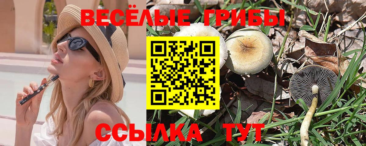 Псилоцибиновые грибы мицелий Северск